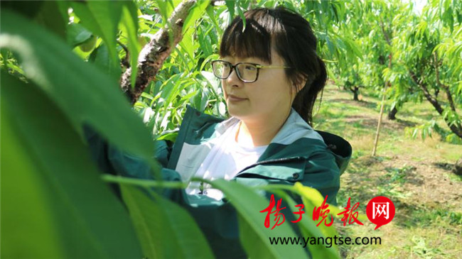 一個(gè)“80”后研究生的“綠色農(nóng)業(yè)夢(mèng)”：用“互聯(lián)網(wǎng)+”思維做農(nóng)業(yè)，新型職業(yè)農(nóng)民“潮”起來