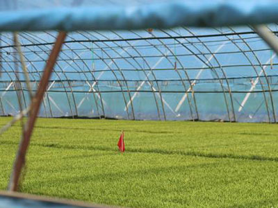 富錦推動(dòng)“互聯(lián)網(wǎng)+農(nóng)業(yè)”搭建農(nóng)業(yè)新平臺（圖）