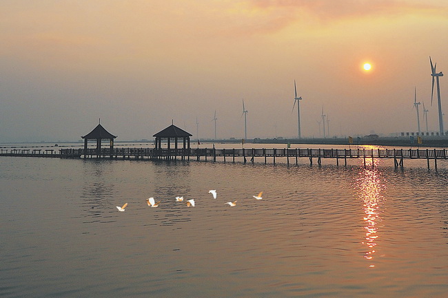 高質(zhì)量發(fā)展風電產(chǎn)業(yè)