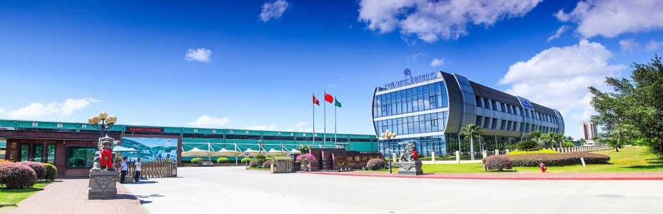 技術(shù)線路問題？董小姐的造車夢要黃了？