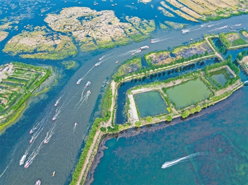 白洋淀水域生態(tài)修復(fù)示范項(xiàng)目啟動環(huán)保上市公司布局雄安新區(qū)