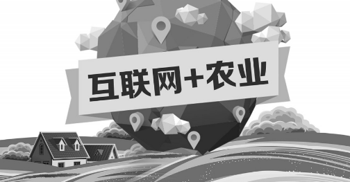 A5創(chuàng)業(yè)項目推薦：互聯(lián)網(wǎng)+農(nóng)業(yè)能碰撞出怎樣的新發(fā)展？
