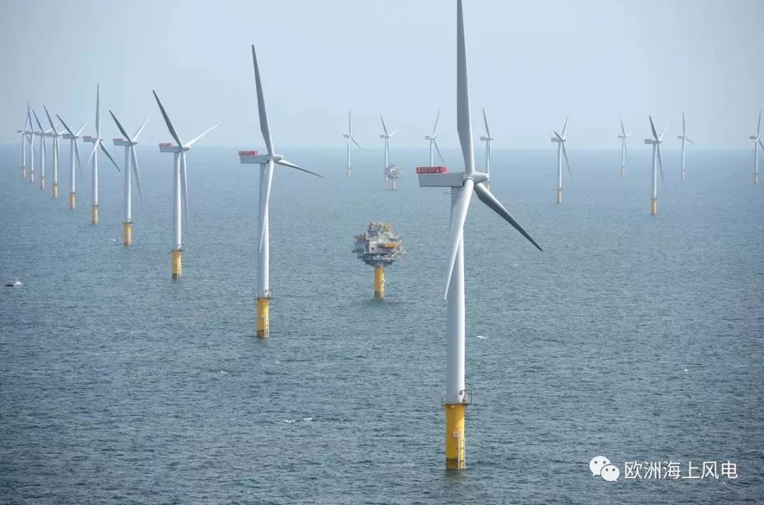 干貨丨一文看盡海上風(fēng)電機(jī)組固定式基礎(chǔ)大全