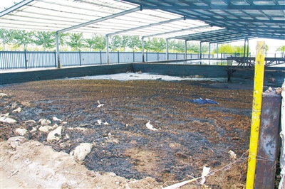 工業(yè)園侵占保護(hù)區(qū)，未整改反引進(jìn)新項(xiàng)目