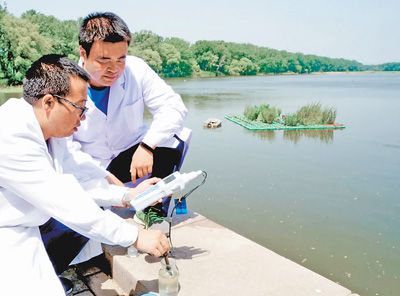 秦皇島整治水生態(tài)環(huán)境 取得良好效果