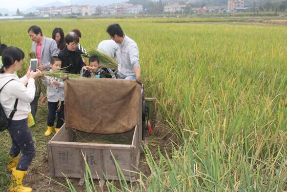 工業(yè)化+信息化 婺城農(nóng)業(yè)兩化融合走出發(fā)展新路子