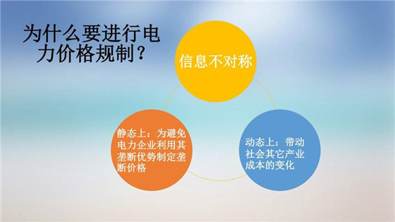 我國(guó)電力價(jià)格規(guī)制現(xiàn)狀、存在的問題及原因分析