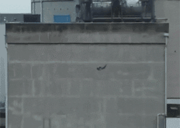 法國無人機撞核電站廢料池？！欲證明其脆弱