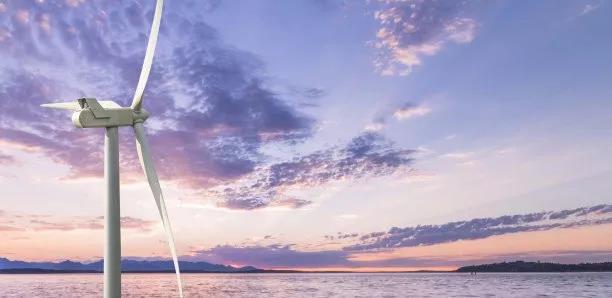 襁褓幼兒——海上風電能否經(jīng)得起“競價”風波？