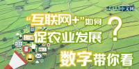 “互聯(lián)網(wǎng)+”如何促農(nóng)業(yè)發(fā)展？數(shù)字帶你看