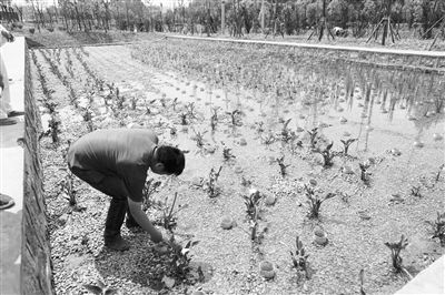 三年攻堅，滇池保護(hù)治理力爭實現(xiàn)新突破