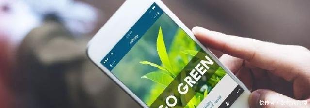 互聯(lián)網(wǎng)+農業(yè)”發(fā)展再添引擎 手機將成農民“新農具”