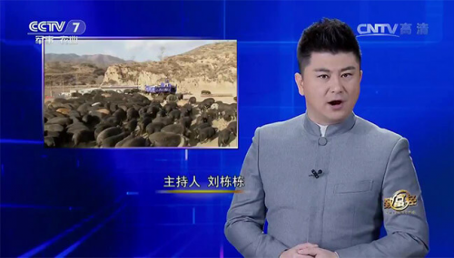 互聯(lián)網(wǎng)+農(nóng)業(yè)眾籌只賺吆喝 利潤全被用戶拿走了？