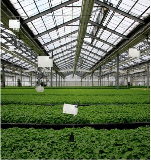 “互聯(lián)網(wǎng)+農(nóng)業(yè)”，創(chuàng)造農(nóng)村發(fā)展新活力