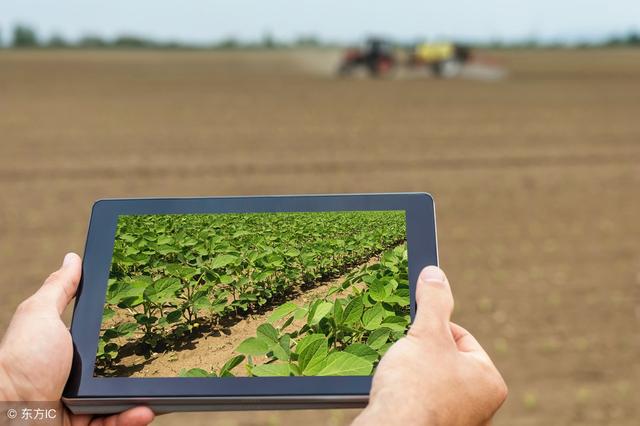 2018年農(nóng)村電商巨頭卡位戰(zhàn)：互聯(lián)網(wǎng)+農(nóng)業(yè)新玩法！