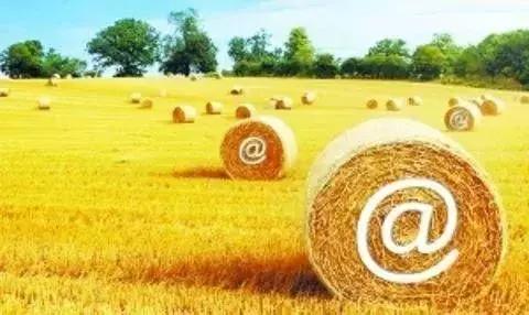 2018年農(nóng)村電商巨頭卡位戰(zhàn)：互聯(lián)網(wǎng)+農(nóng)業(yè)新玩法！