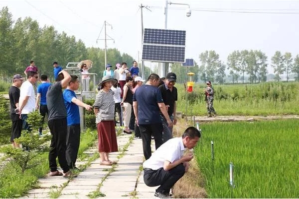 黑龍江落實“互聯網+農業(yè)”高標準示范基地1458個