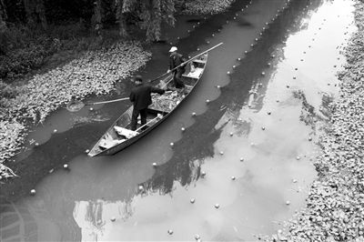 滇池保護(hù)治理：“誰(shuí)污染誰(shuí)買單”倒逼環(huán)保責(zé)任落實(shí)