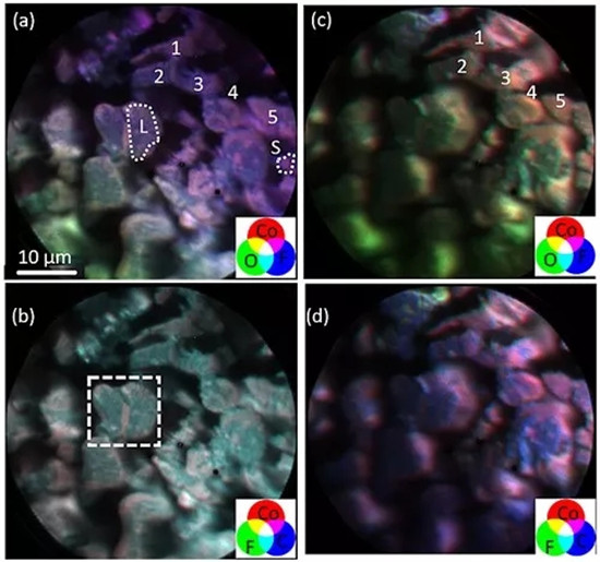 最新發(fā)現(xiàn) 導(dǎo)電劑、粘結(jié)劑的分布可能導(dǎo)致鋰離子電池正極材料熱失控