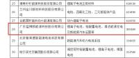 猛獅科技榮登2017年度中國(guó)電池行業(yè)百?gòu)?qiáng)企業(yè)榜