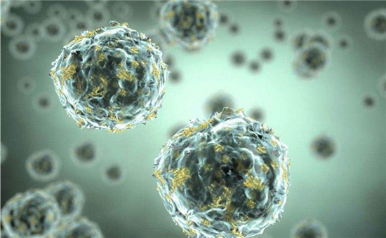 科學(xué)家研制新型生物電池，以廢水中的細(xì)菌為“電源”