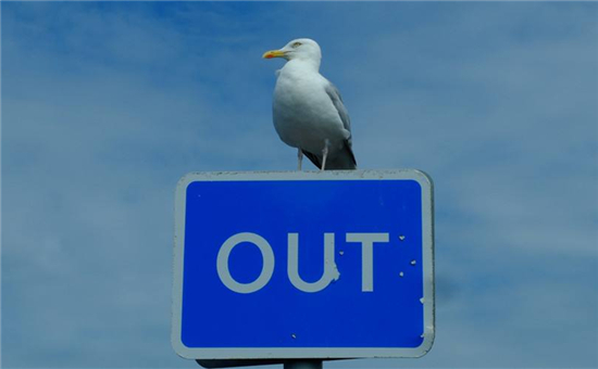 中國動力電池行業(yè)前五出貨量占比80% 二線企業(yè)基本將出局？