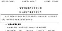 皖能電力：前三季度預(yù)盈逾2.7億元 同比增169%至228%