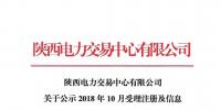 陜西電力交易中心有限公司關(guān)于公示2018年10月受理注冊及信息變更的售電公司相關(guān)信息的公告