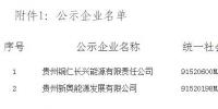貴州公示2家售電公司