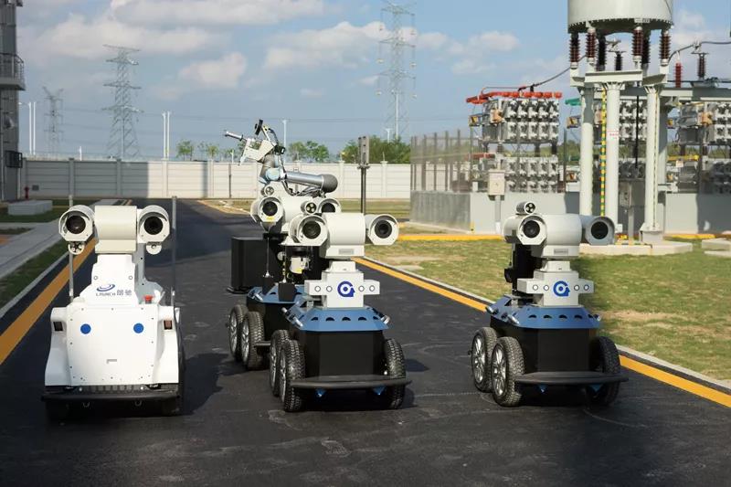 在電網(wǎng)公司上班都“養(yǎng)”什么神奇動(dòng)物？