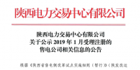 陜西2019年1月8家售電公司公示名單
