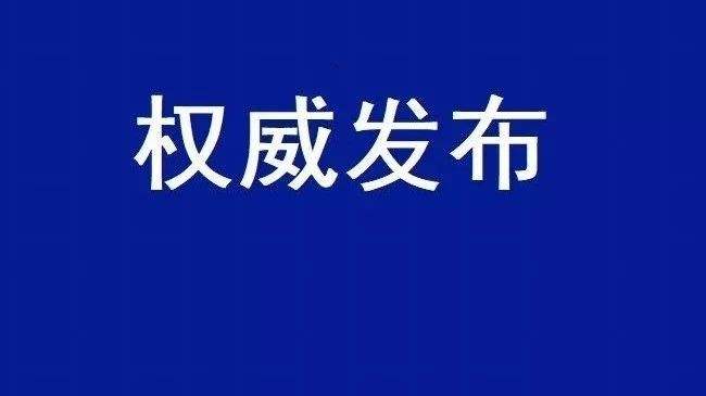 2020國(guó)民經(jīng)濟(jì)和社會(huì)發(fā)展計(jì)劃草案：建設(shè)全國(guó)統(tǒng)一電力市場(chǎng)