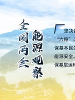 讀圖｜2020政府工作報(bào)告中這些內(nèi)容，和能源電力有關(guān)！