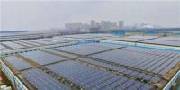 國內(nèi)最大自發(fā)自用平價上網(wǎng)的屋頂分布式光伏項目全額并網(wǎng)