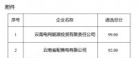 2025年云南電力市場保底售電公司候選名單公示！